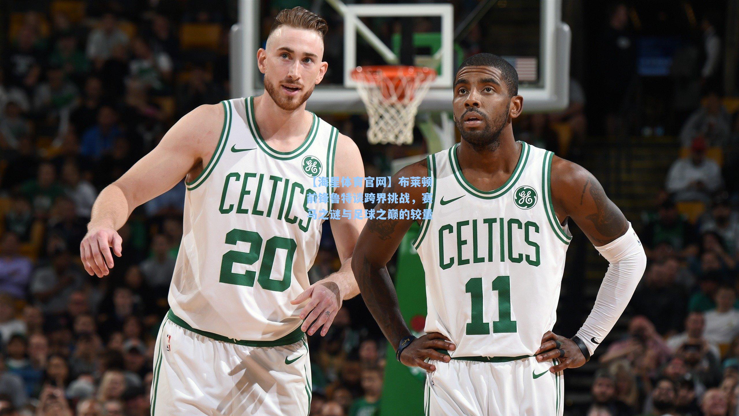 布莱顿前锋鲁特谈跨界挑战，赛马之谜与足球之巅的较量